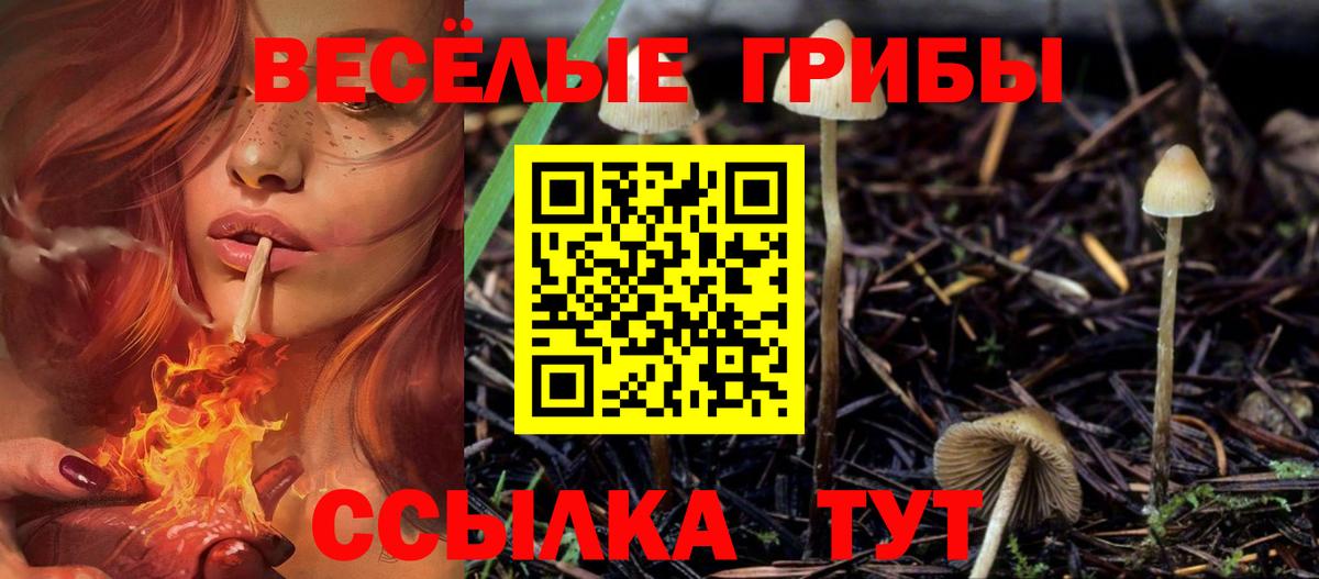 Галлюциногенные грибы MAGIC MUSHROOMS Мичуринск